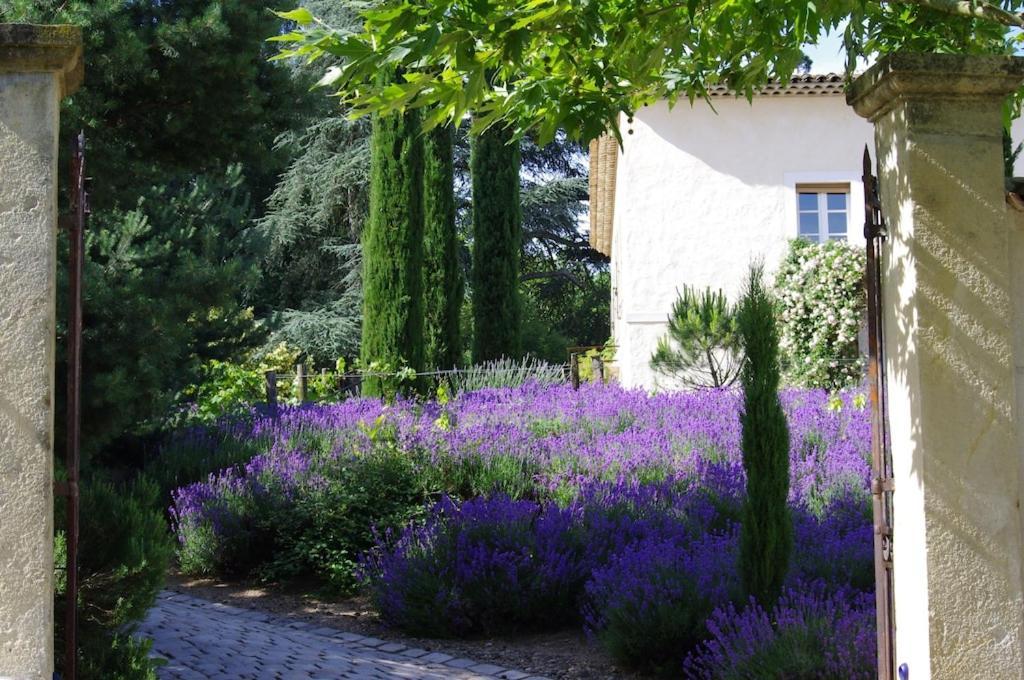 On Dirait Le Sud Lejlighed Andrezieux-Boutheon Eksteriør billede